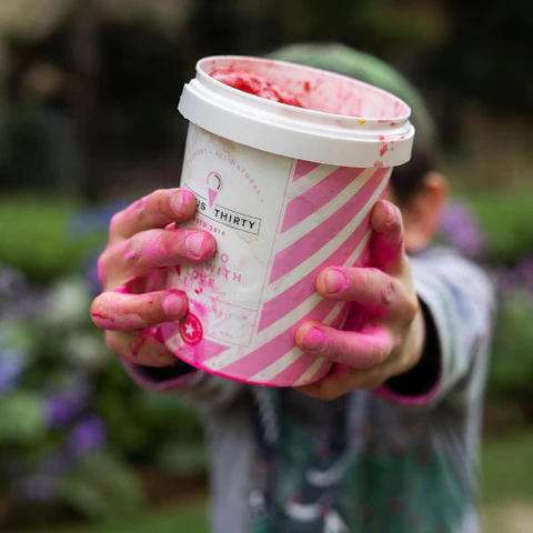 Frosty Bliss with Minus 30 Vegan and Sugar-Free Ice Cream