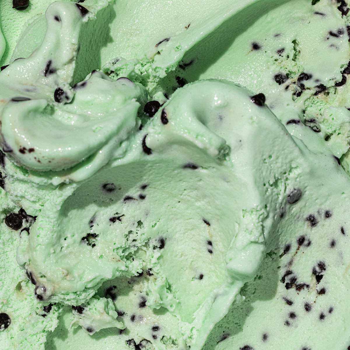 Mint Chocolate Chip